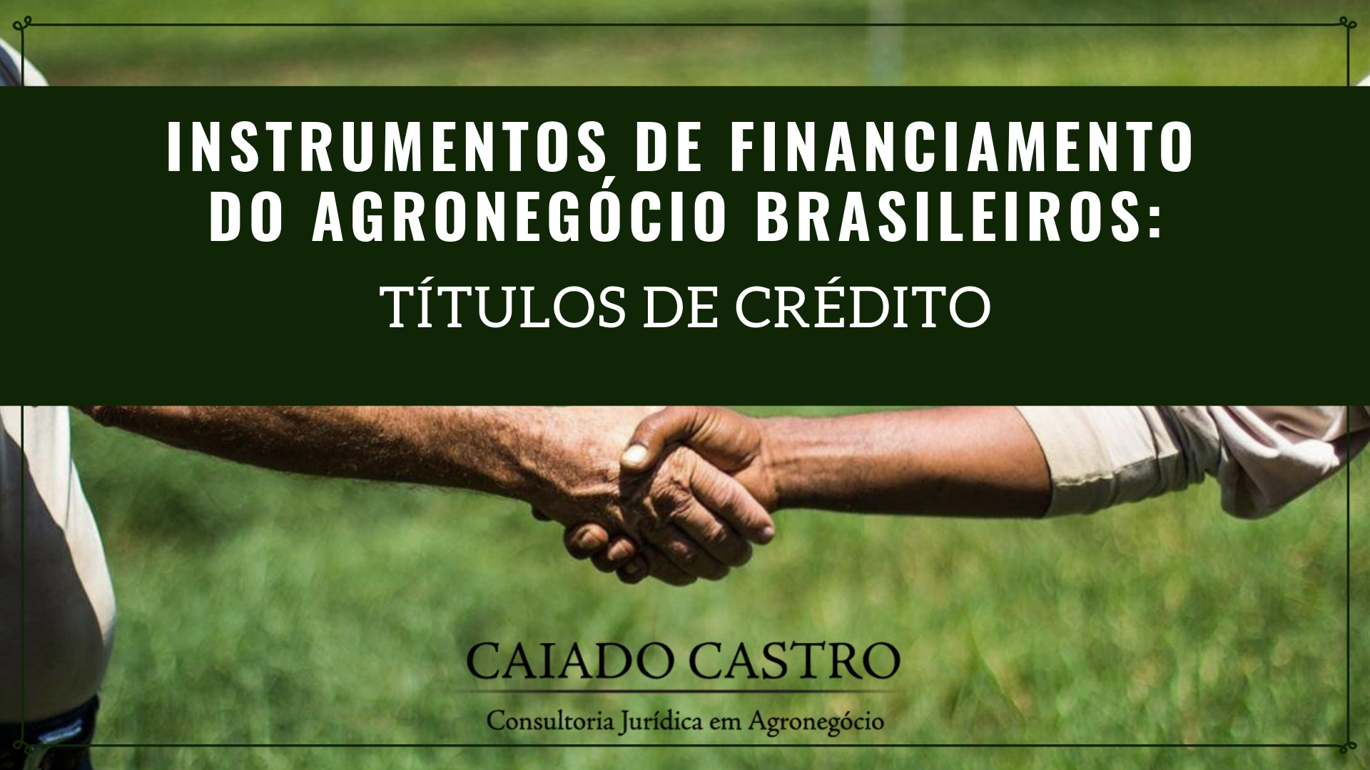 ARTIGO | INSTRUMENTOS DE FINANCIAMENTO DO AGRONEGÓCIO BRASILEIRO: TÍTULOS DE CRÉDITO