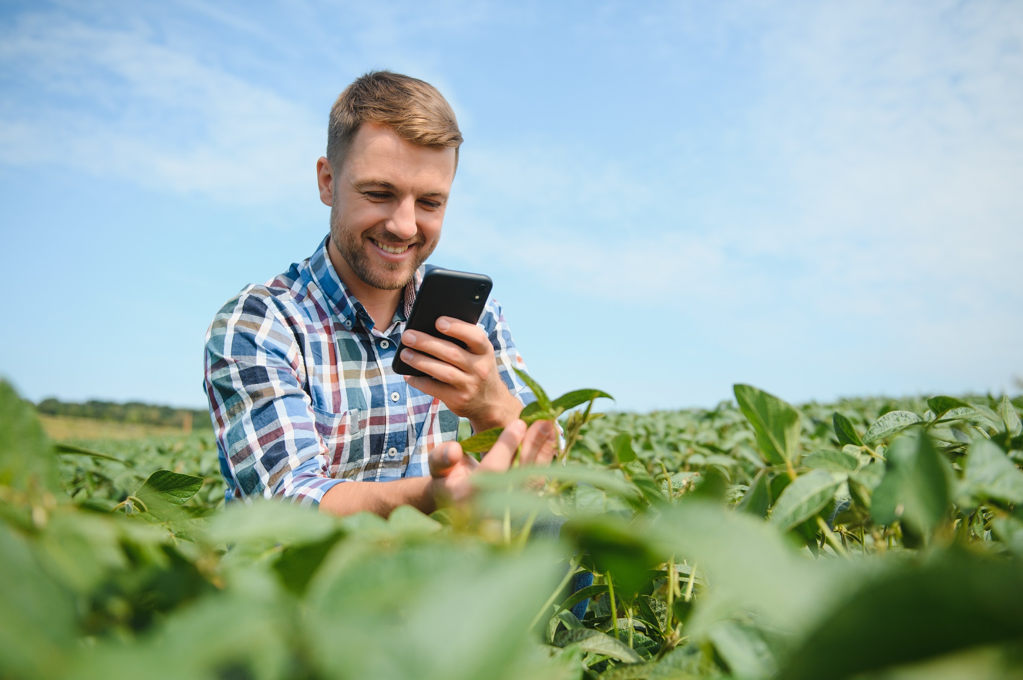 Sebrae lança app Guia do Campo para auxiliar pequenos produtores rurais