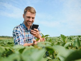 Sebrae lança app Guia do Campo para auxiliar pequenos produtores rurais