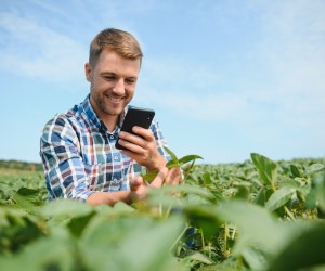 Sebrae lança app Guia do Campo para auxiliar pequenos produtores rurais